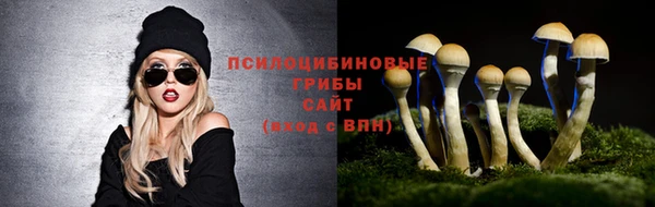 не бодяженный Алзамай
