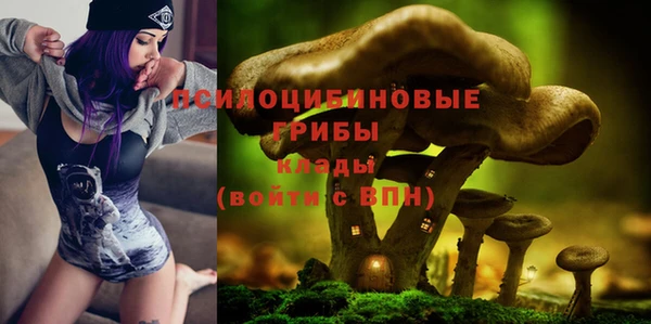 прущая мука Алексеевка
