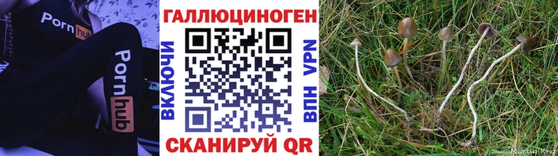 Галлюциногенные грибы мицелий  купить наркоту  Уссурийск 